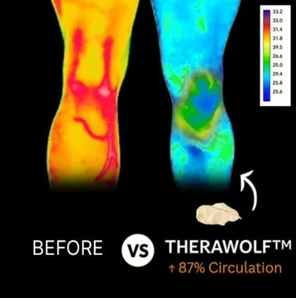 TheraWolf Relief 2